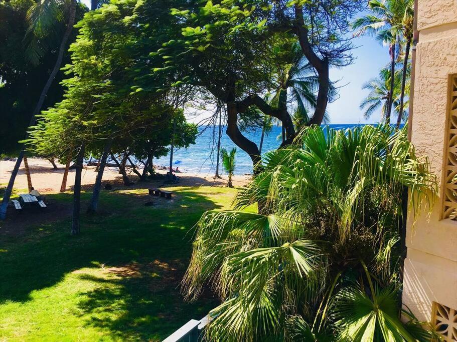 Great Value! & Ocean View Condo! - Kona Reef B-21 At Park & Next To Road Kailua-Kona