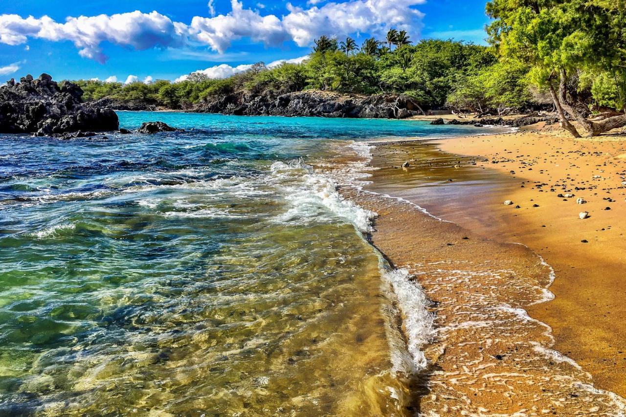 Kona Bali Kai #321