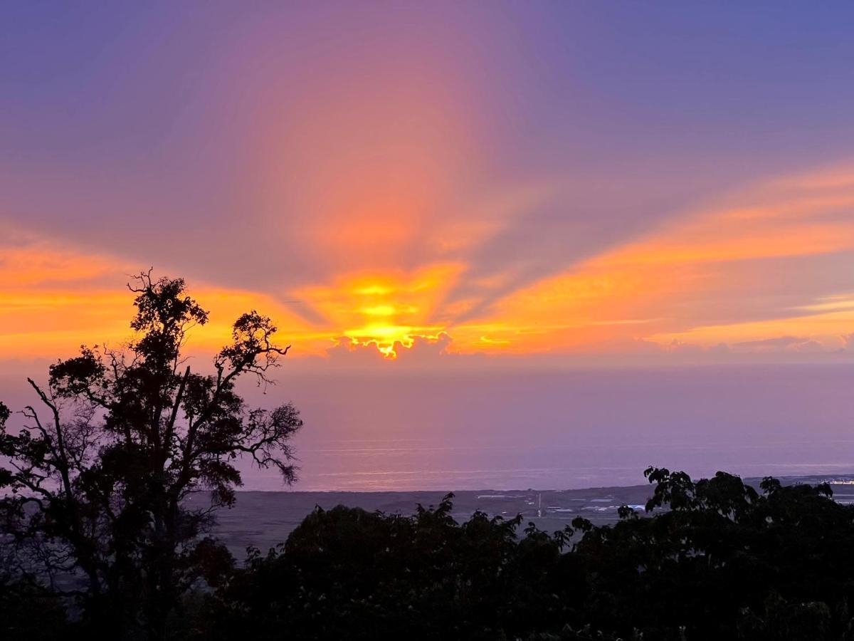 Bed & Breakfast Mango Sunset *