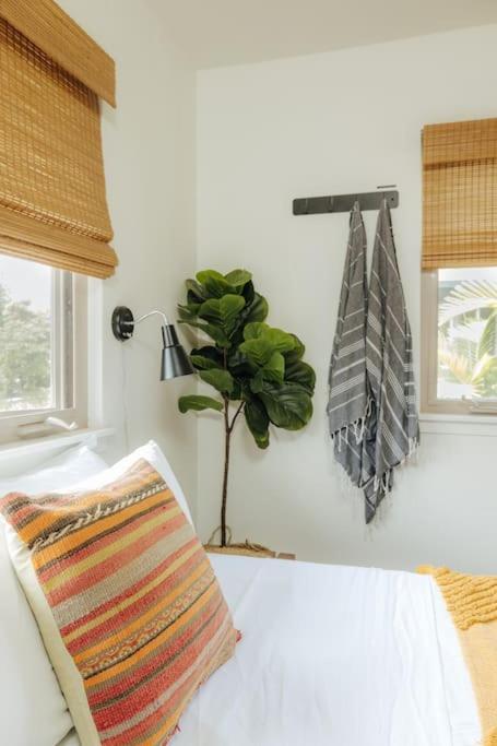 Holiday home The Kumu House