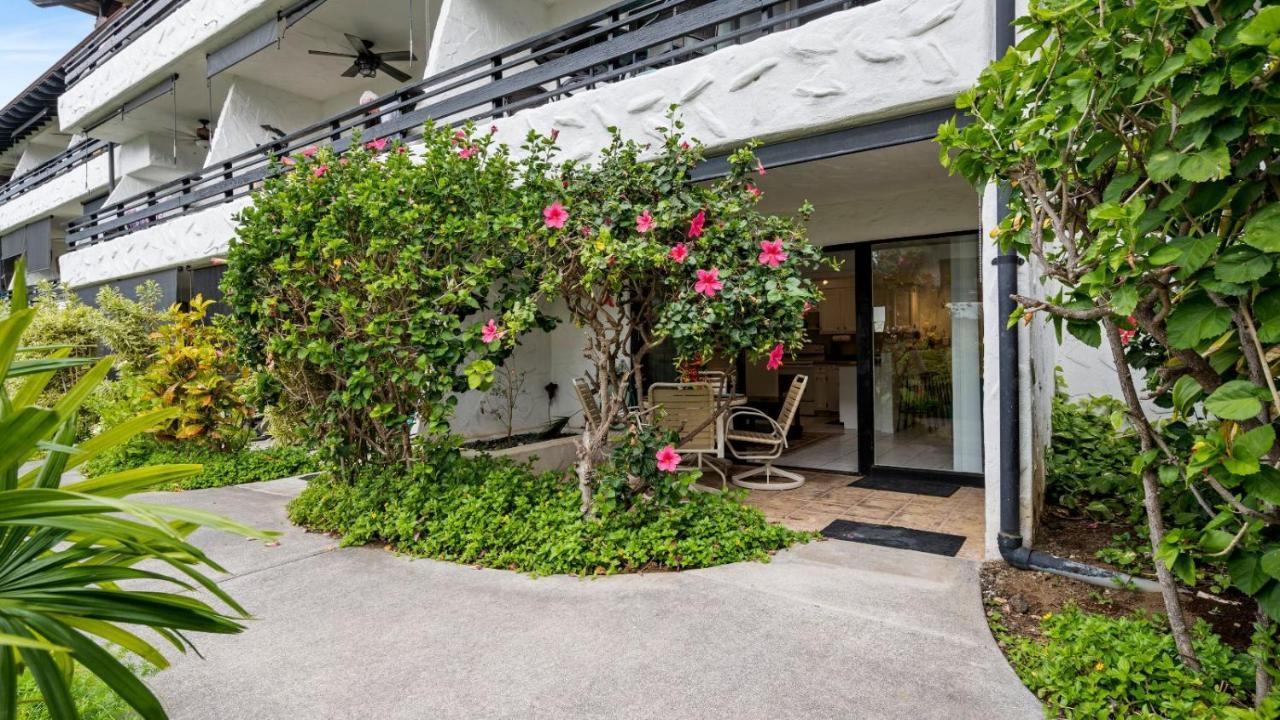 Casa De Emdeko 121 Holiday home *