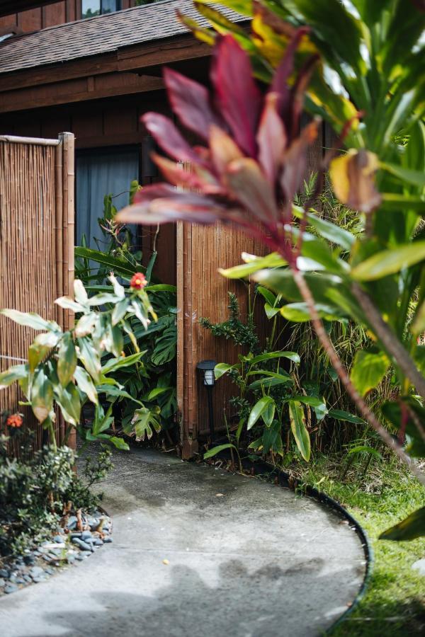 The Bamboo House