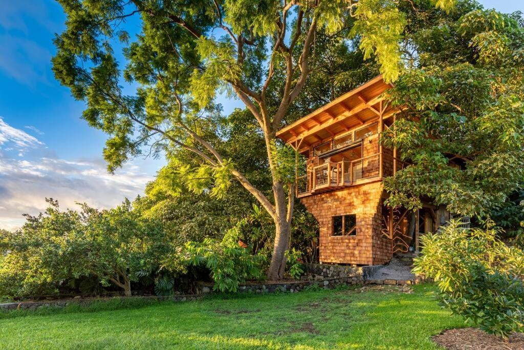 Villa Kona's 1st Luxury 1 Br/1b Treehouse W/ Ocean View Kailua-Kona