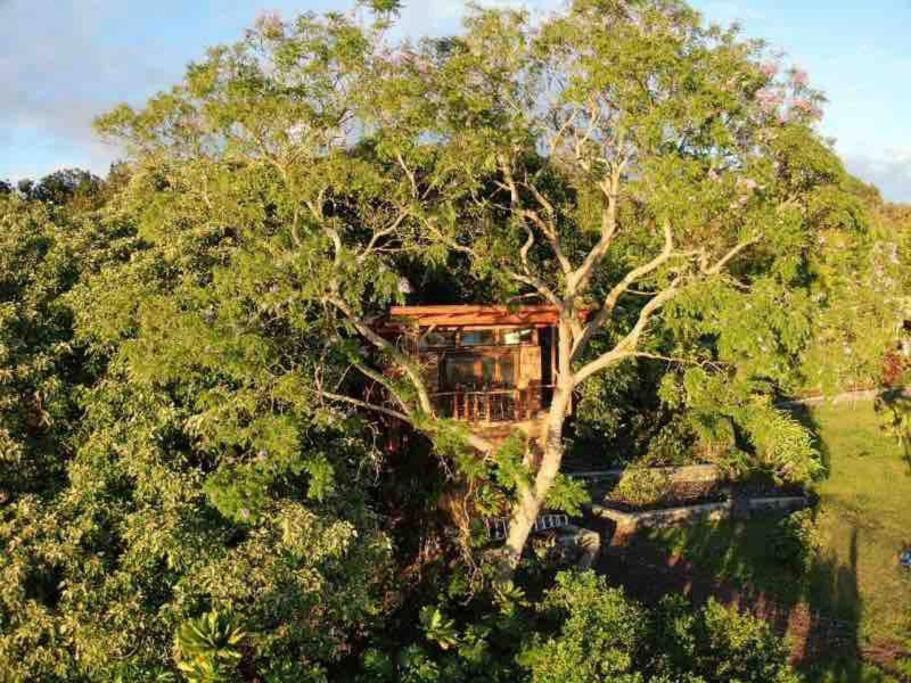 Kona's 1st Luxury 1 Br/1b Treehouse W/ Ocean View Villa Kailua-Kona