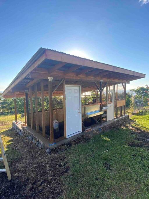 Kona's 1st Luxury 1 Br/1b Treehouse W/ Ocean View * Kailua-Kona