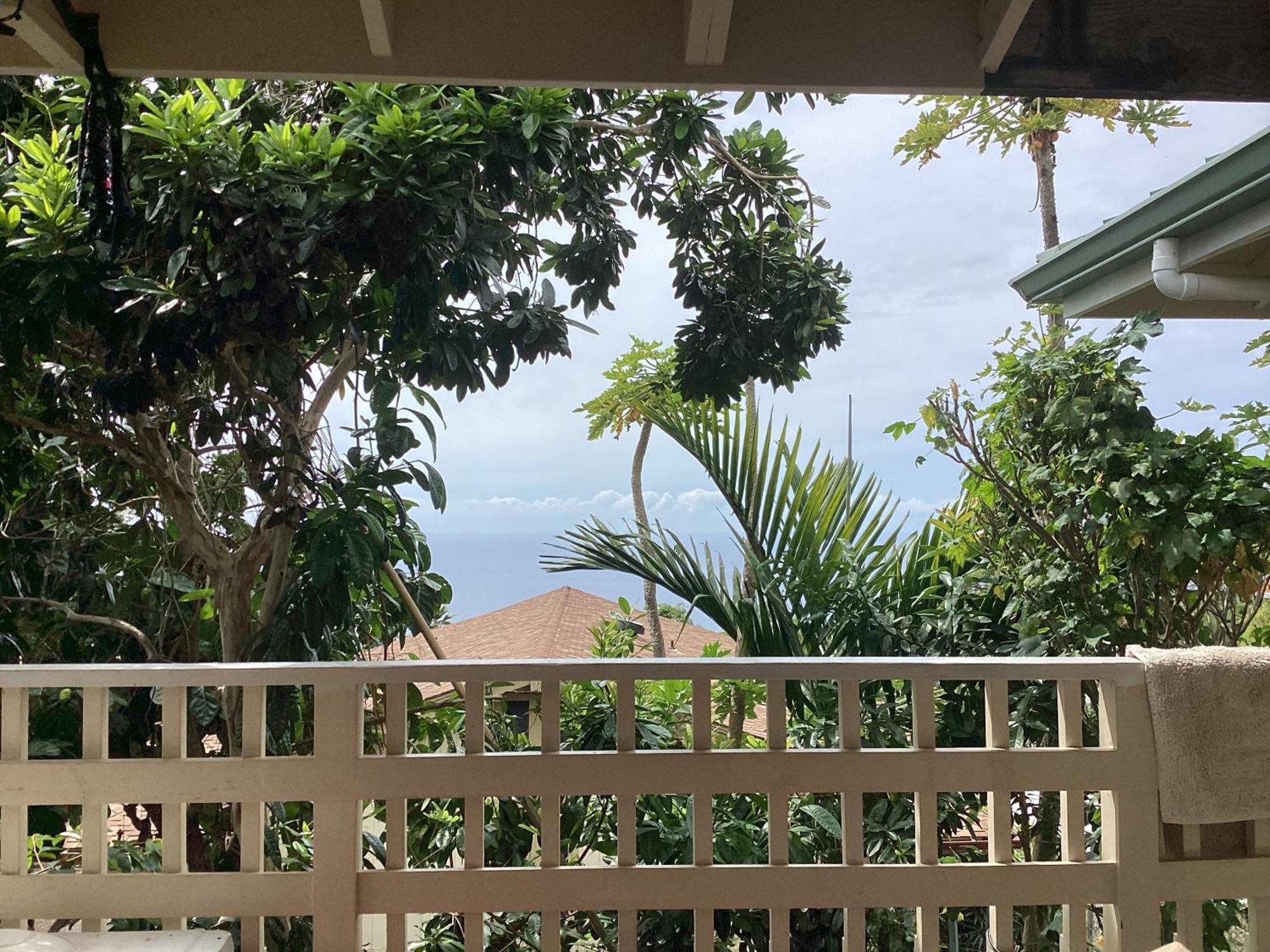Kona Hawaii A Unique Hawaii Experience Guest house 2*