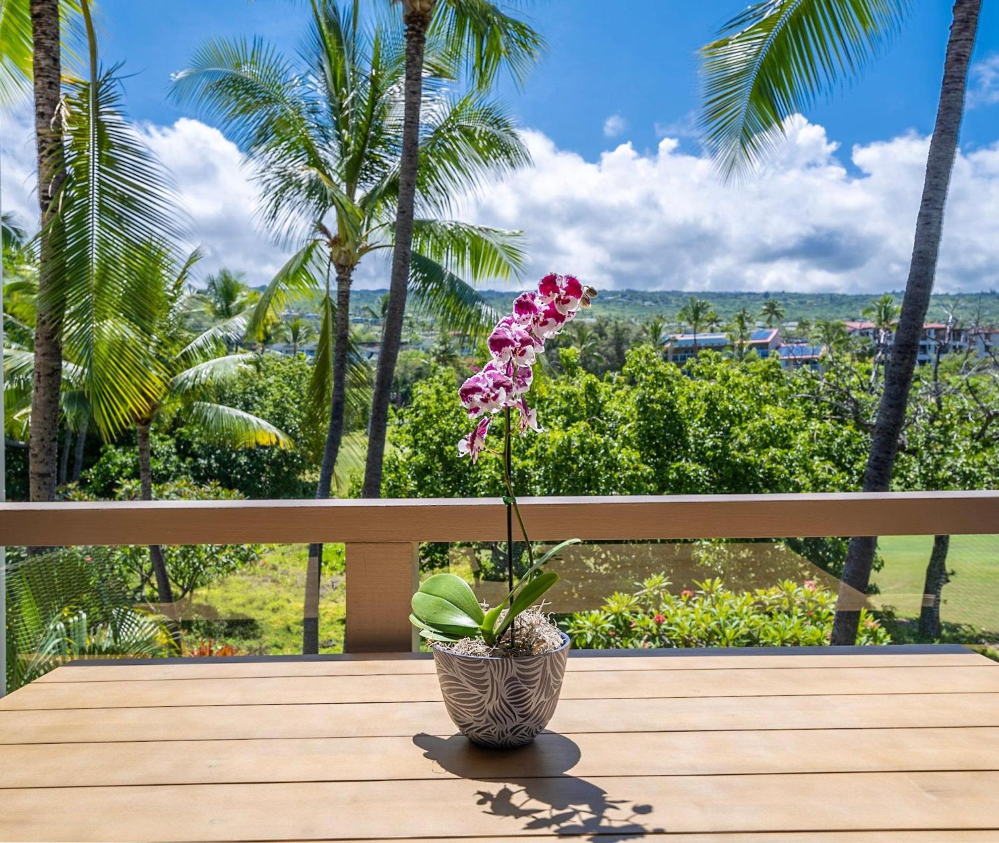 Checahale: Gorgeous Floor Corner With Ac Holiday home