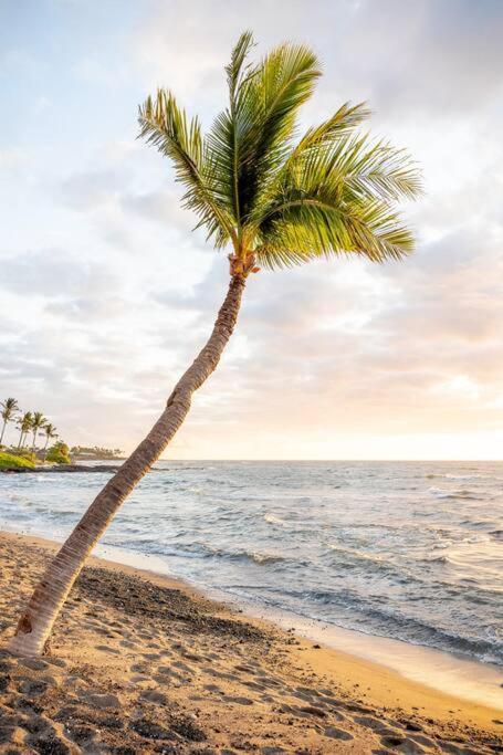Unit A Kaiupoho - Island Elegance: Prime Spot Apartment Kailua-Kona