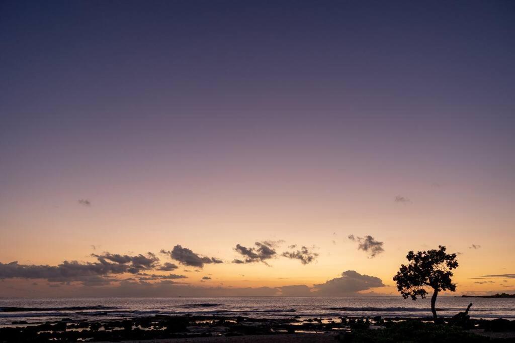 Unit A Kaiupoho - Island Elegance: Prime Spot * Kailua-Kona