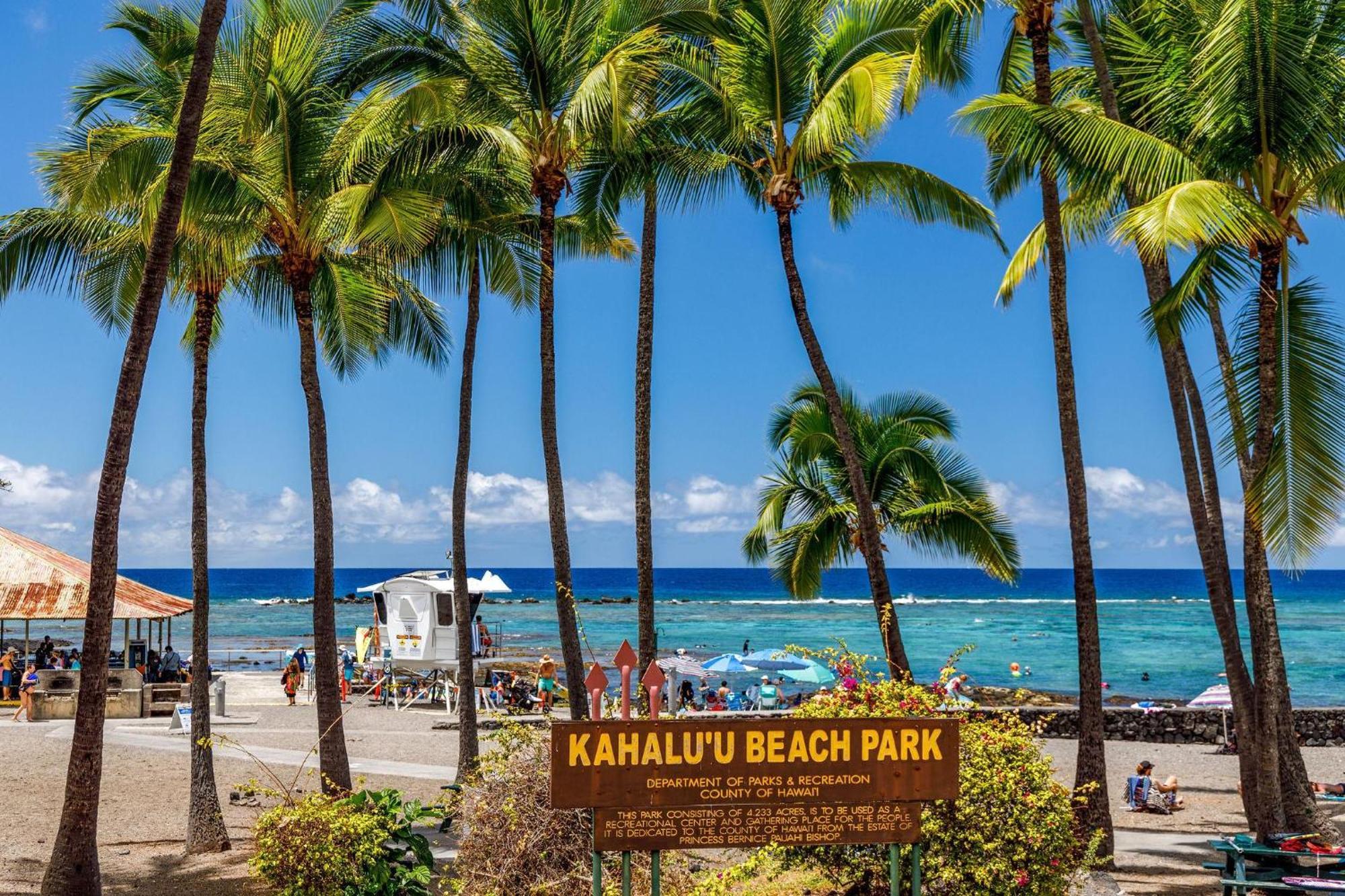 Kahaluu Bay 304