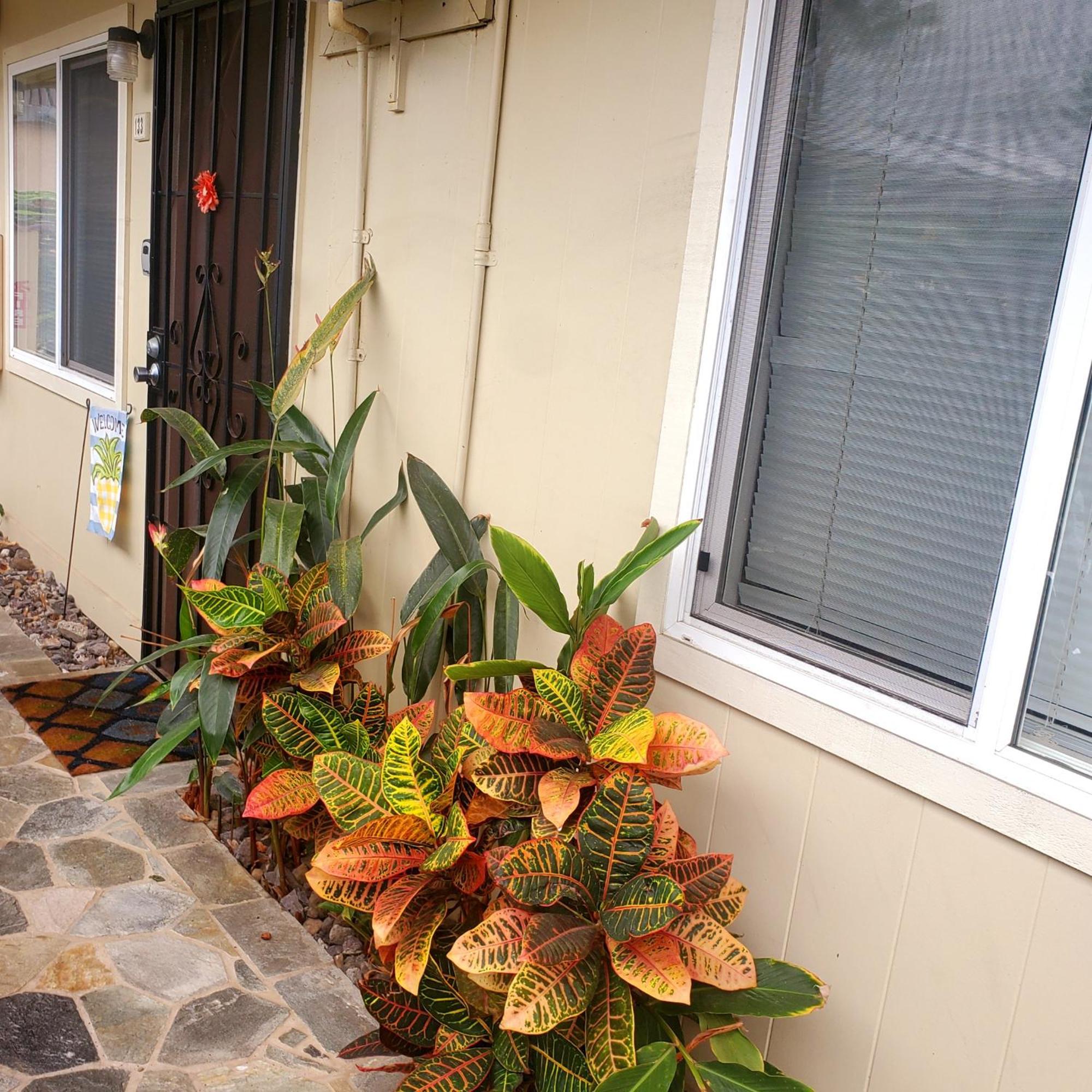 Kona Shores Apartment Kailua-Kona