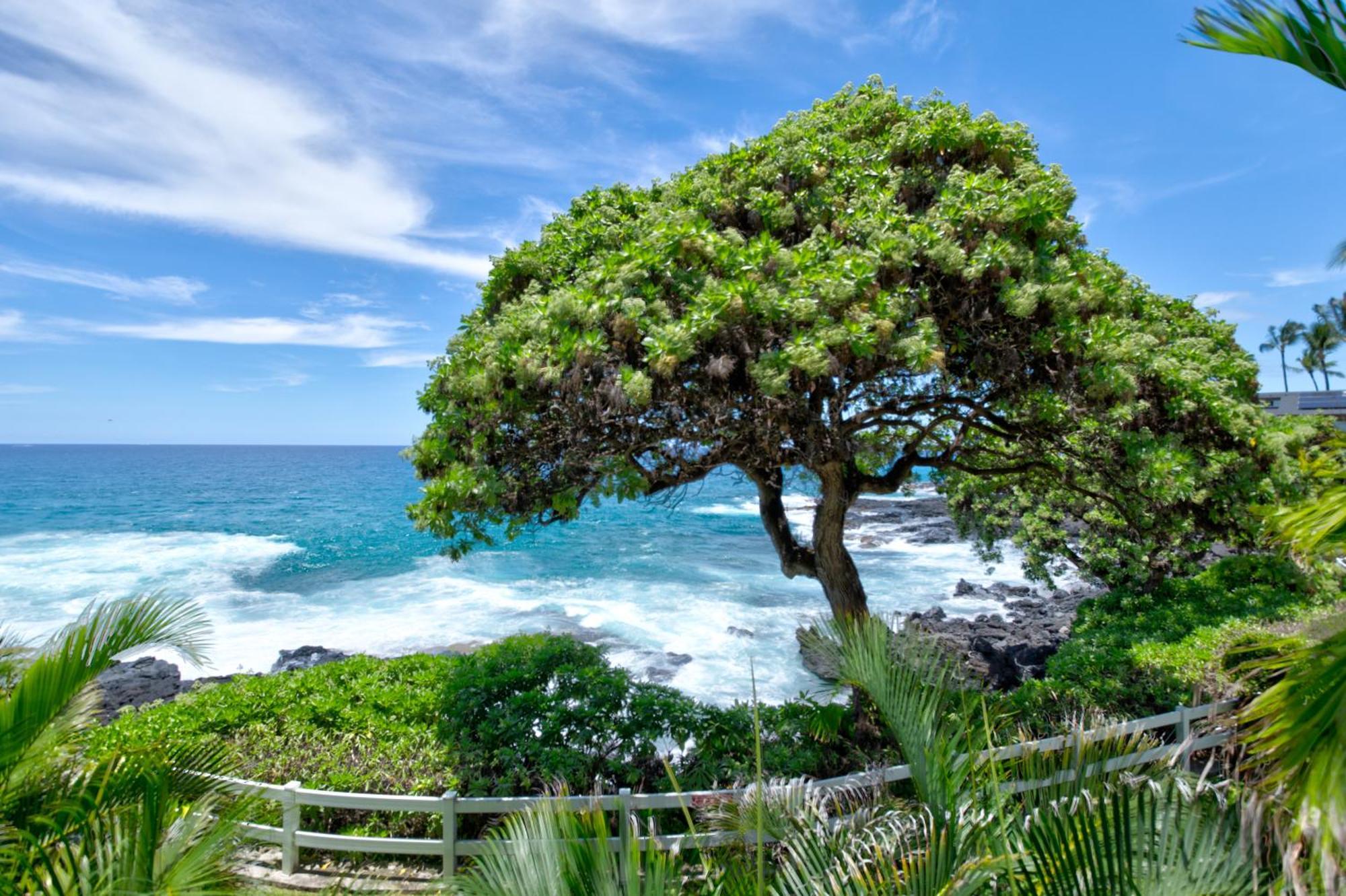 Royal Sea Cliff Kona By Outrigger - Select Your Unit Apartment *
