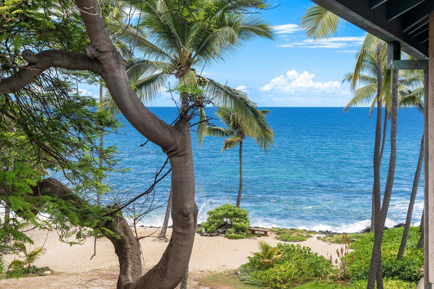 Apartment Kona Reef B32 *