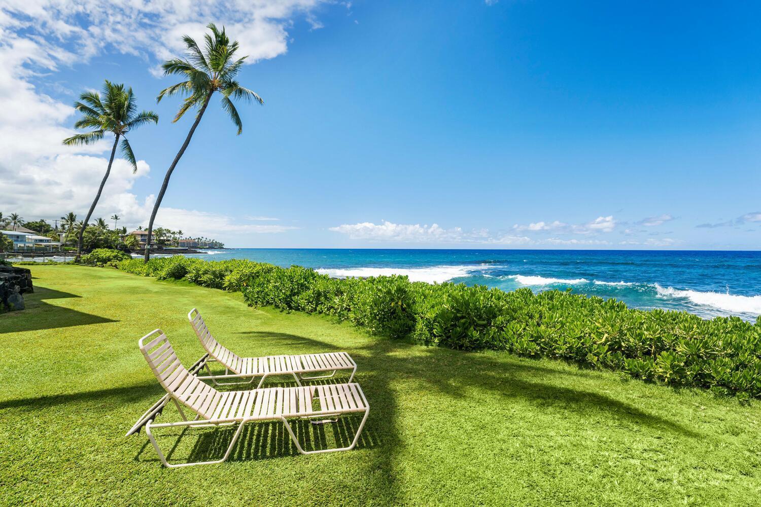Kona Reef B32 *