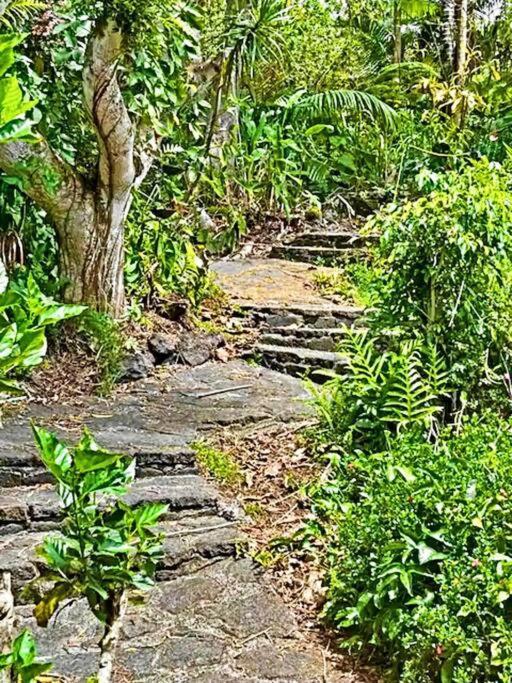 Holiday home 4br Rainforest Oasis In Kona's Garden Of Eden Kailua-Kona