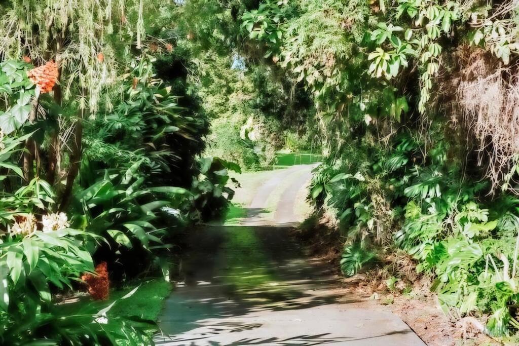 4br Rainforest Oasis In Kona's Garden Of Eden Holiday home Kailua-Kona
