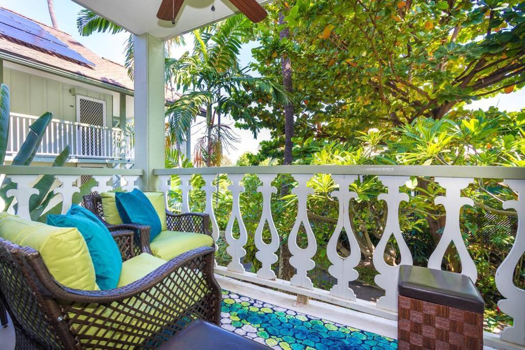 Apartment Spring Rates Book Now - Islander