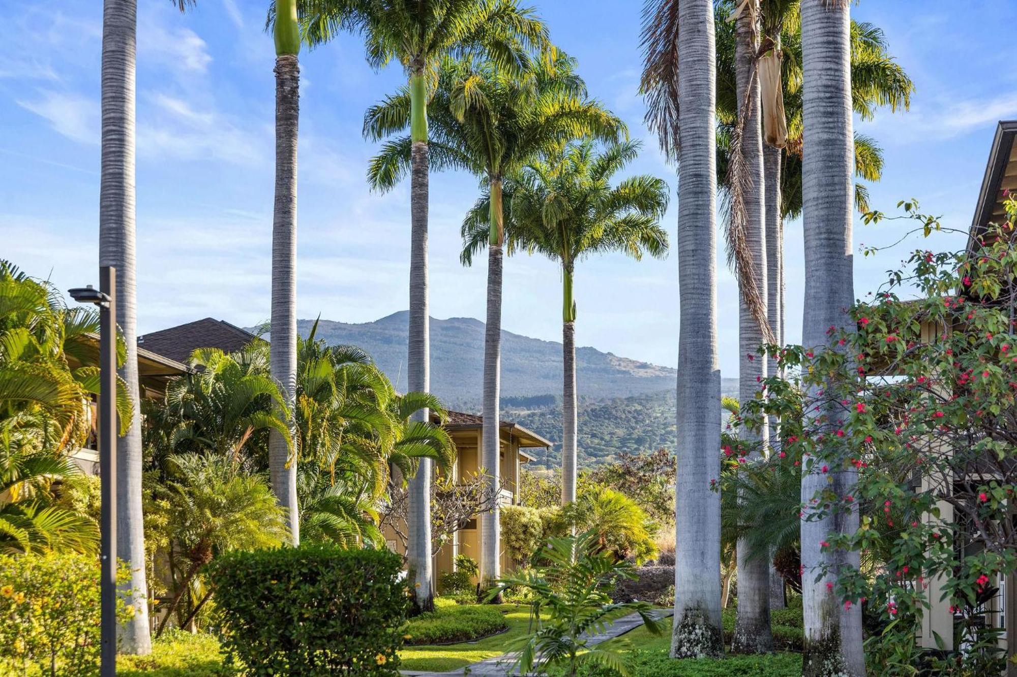 Holiday home Alii Park Place#n-202