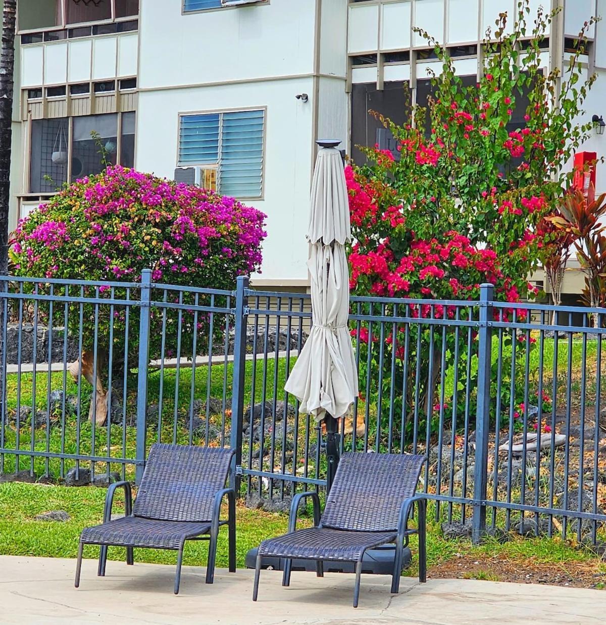 Comfort Location Reasonable Price 2 Blocks 2 The Apartment