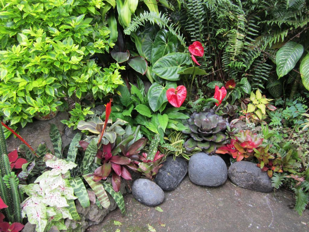 Bed & Breakfast Lilikoi Kailua-Kona