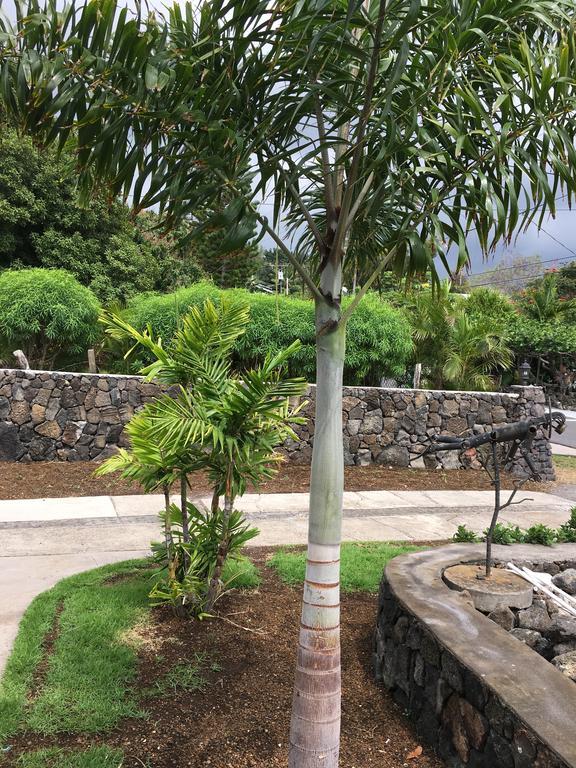 Ahi Hale Homestay