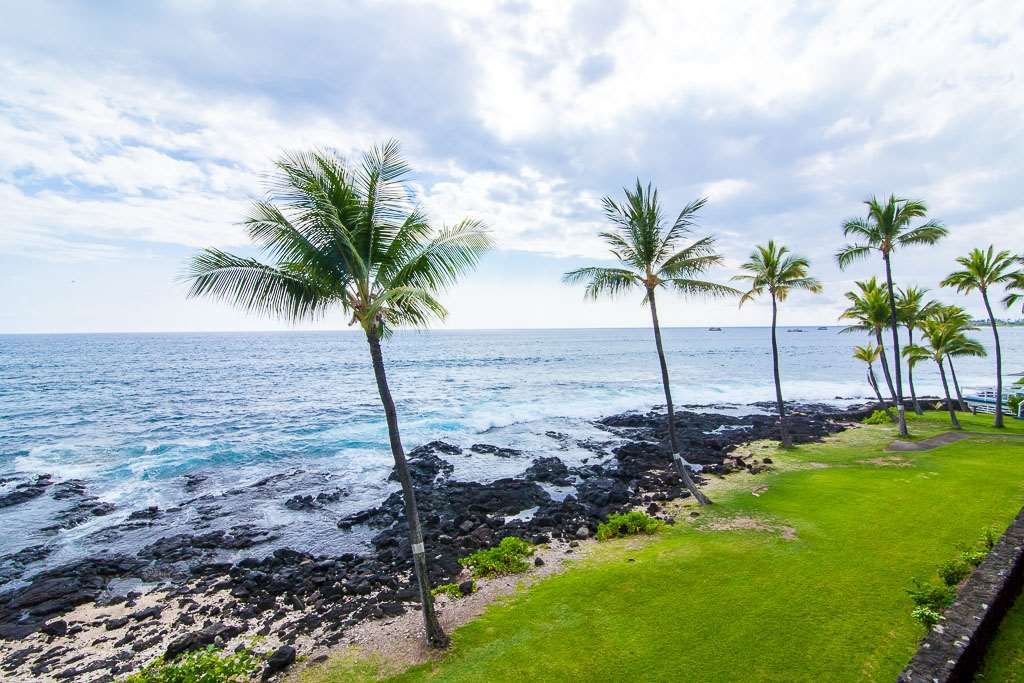 Kona Reef *