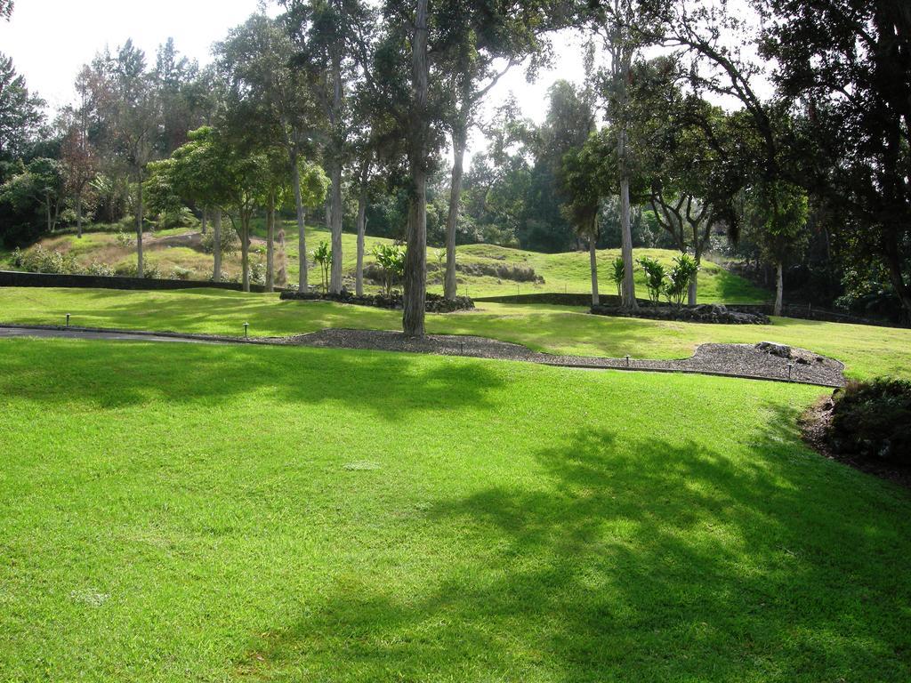 Ohia Kona Estates - An