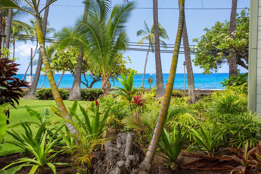 Hotel Vacation In Kona