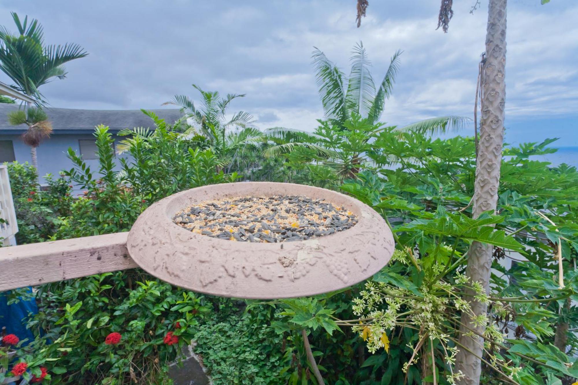 Kona Hawaii A Unique Hawaii Experience