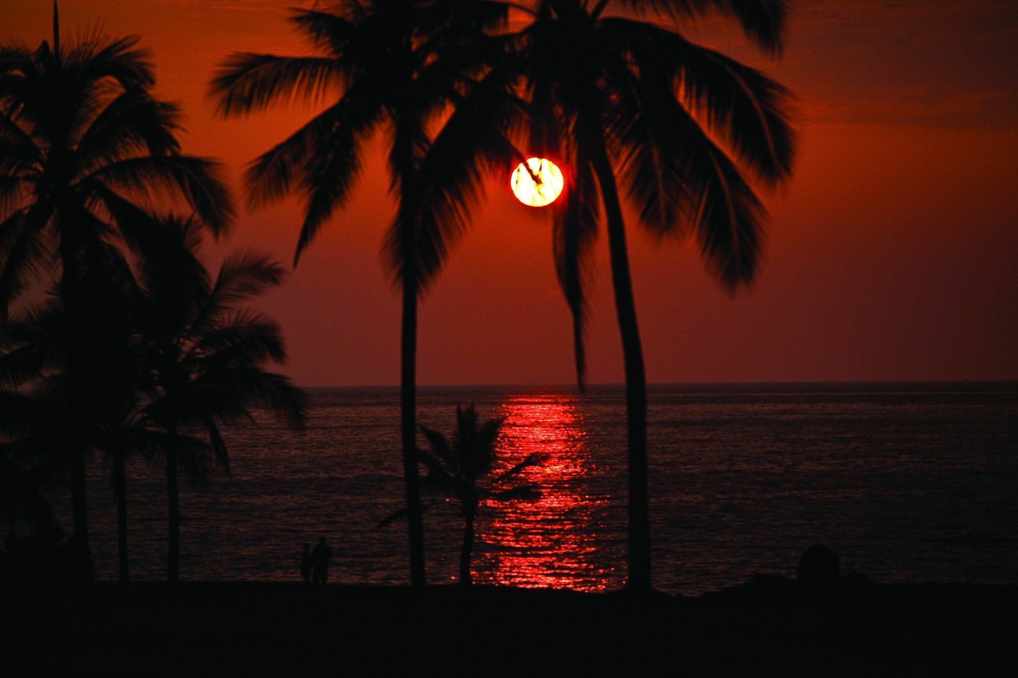 Kona Coast Resort