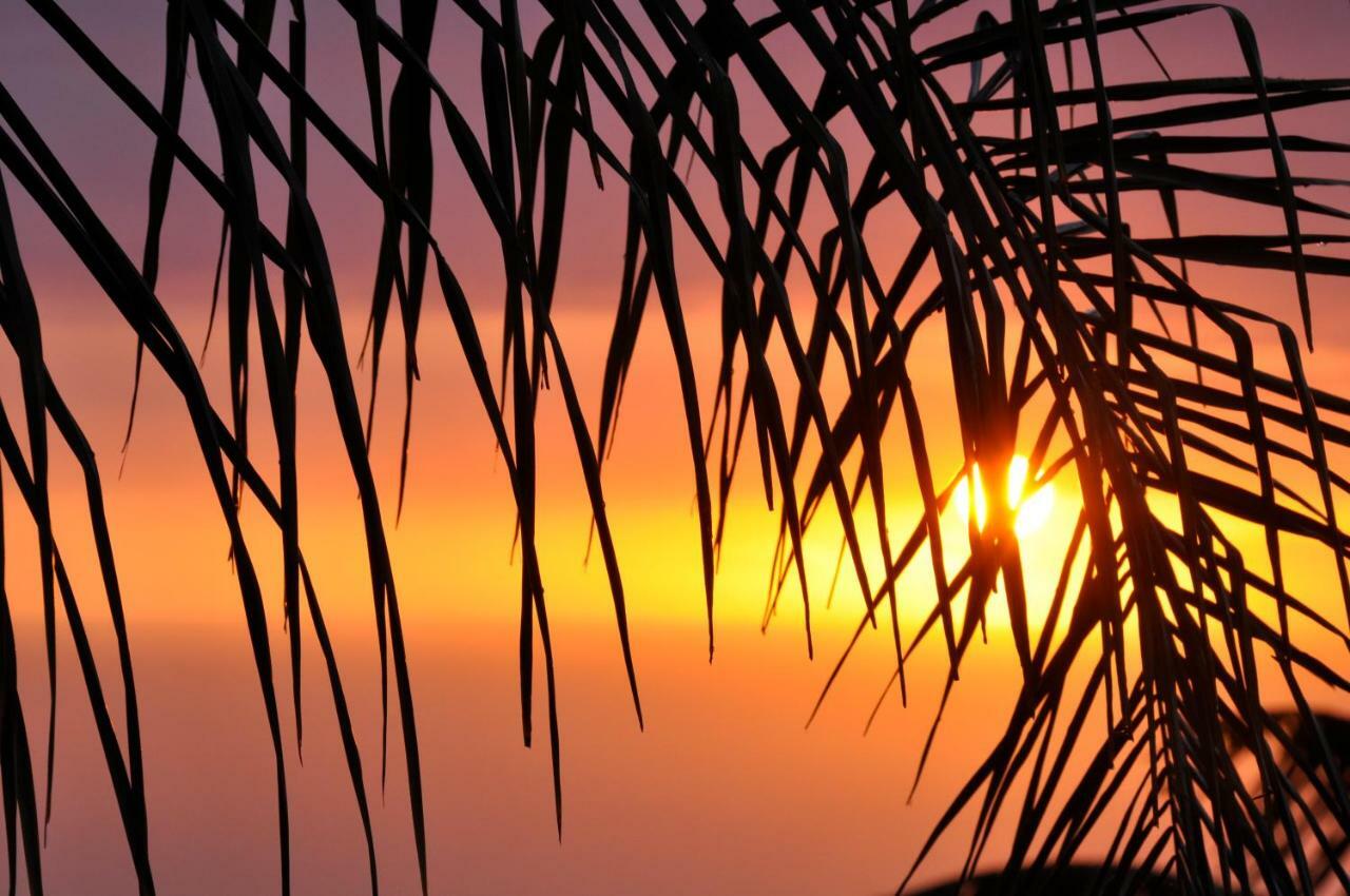 The Great Kona Escape Holiday home