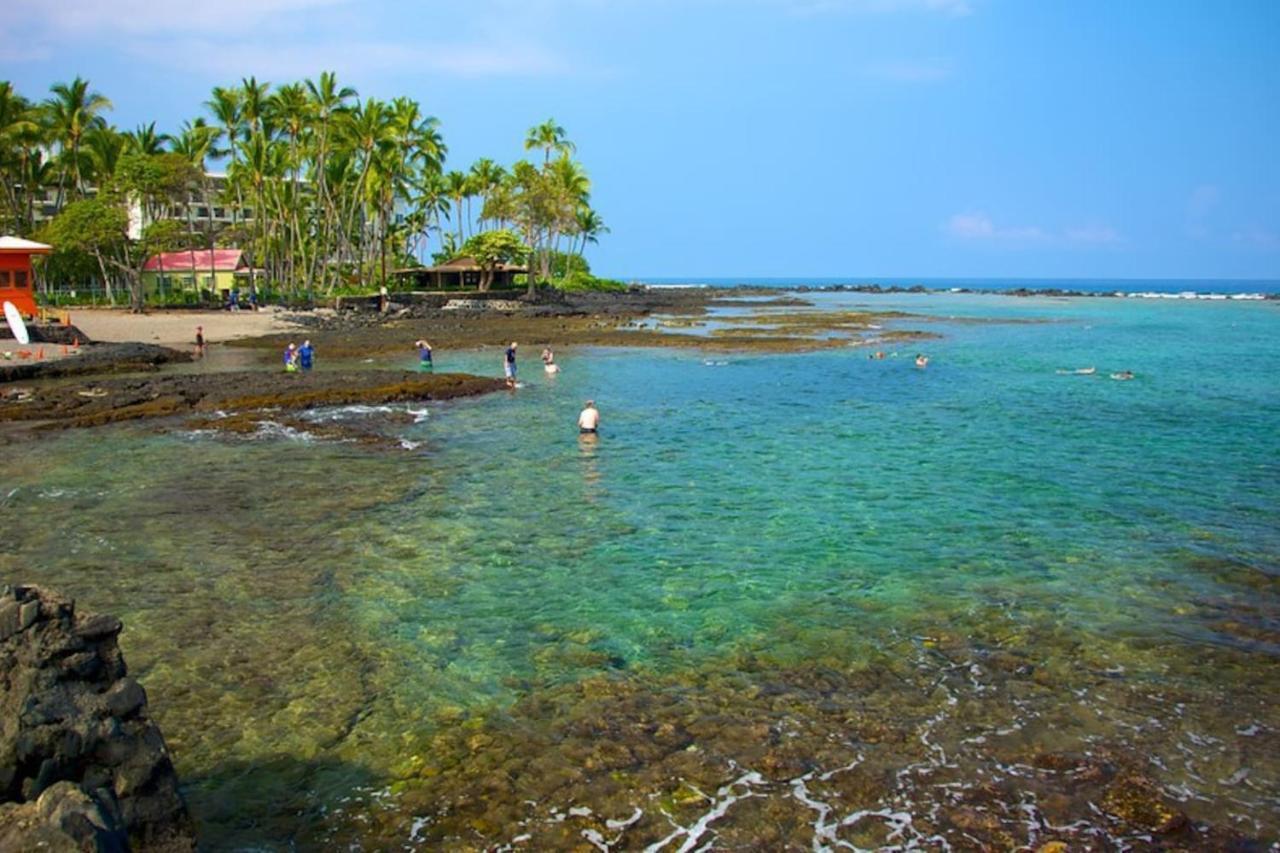 The Cozy Big -30 Days Kailua-Kona